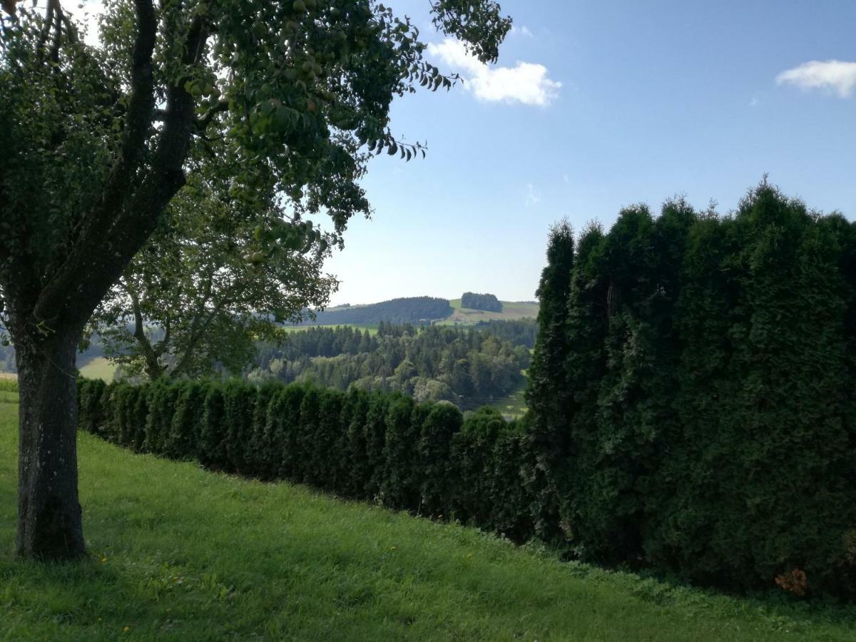 Lembach im MühlkreisJenny别墅 外观 照片