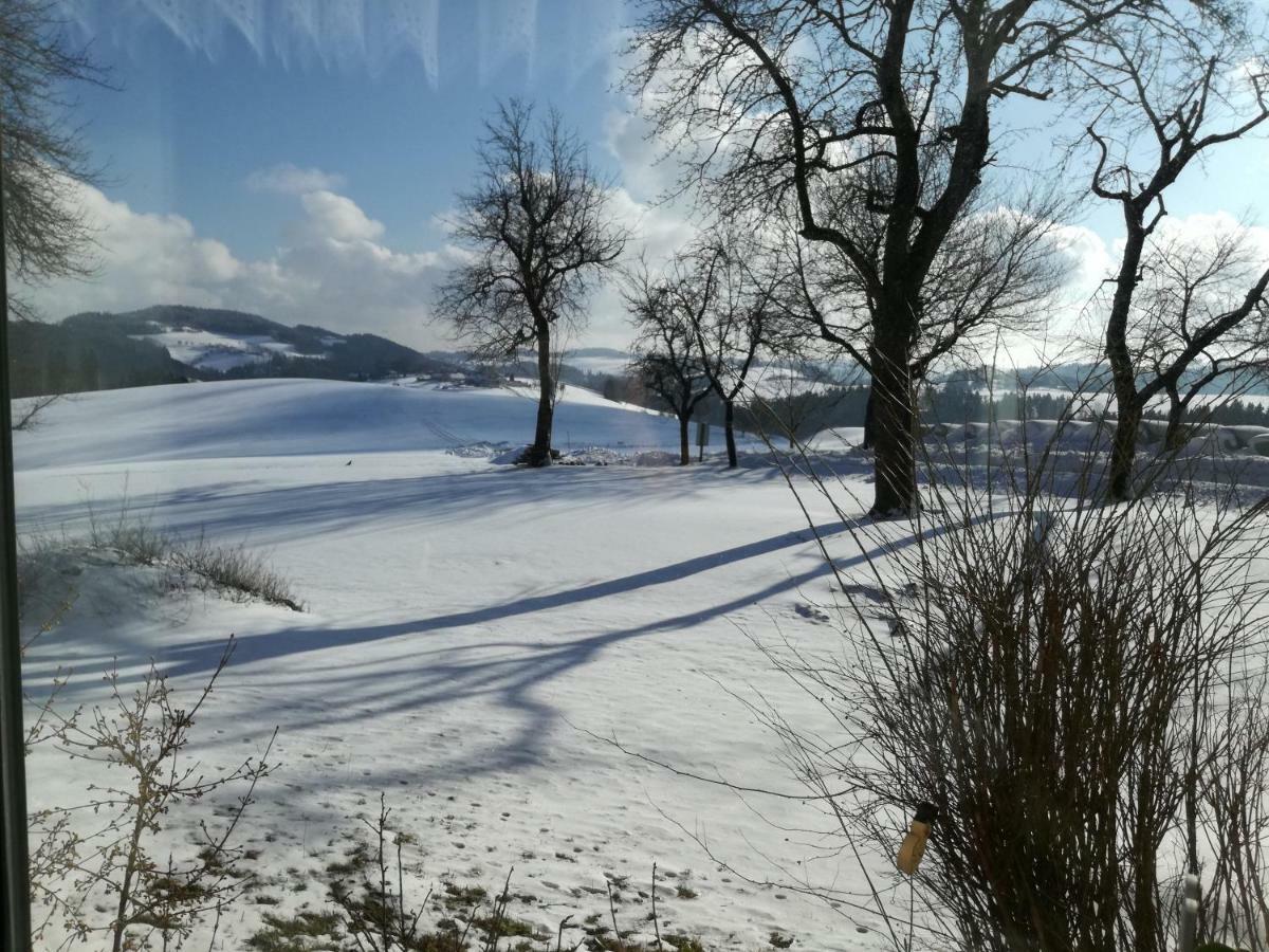Lembach im MühlkreisJenny别墅 外观 照片