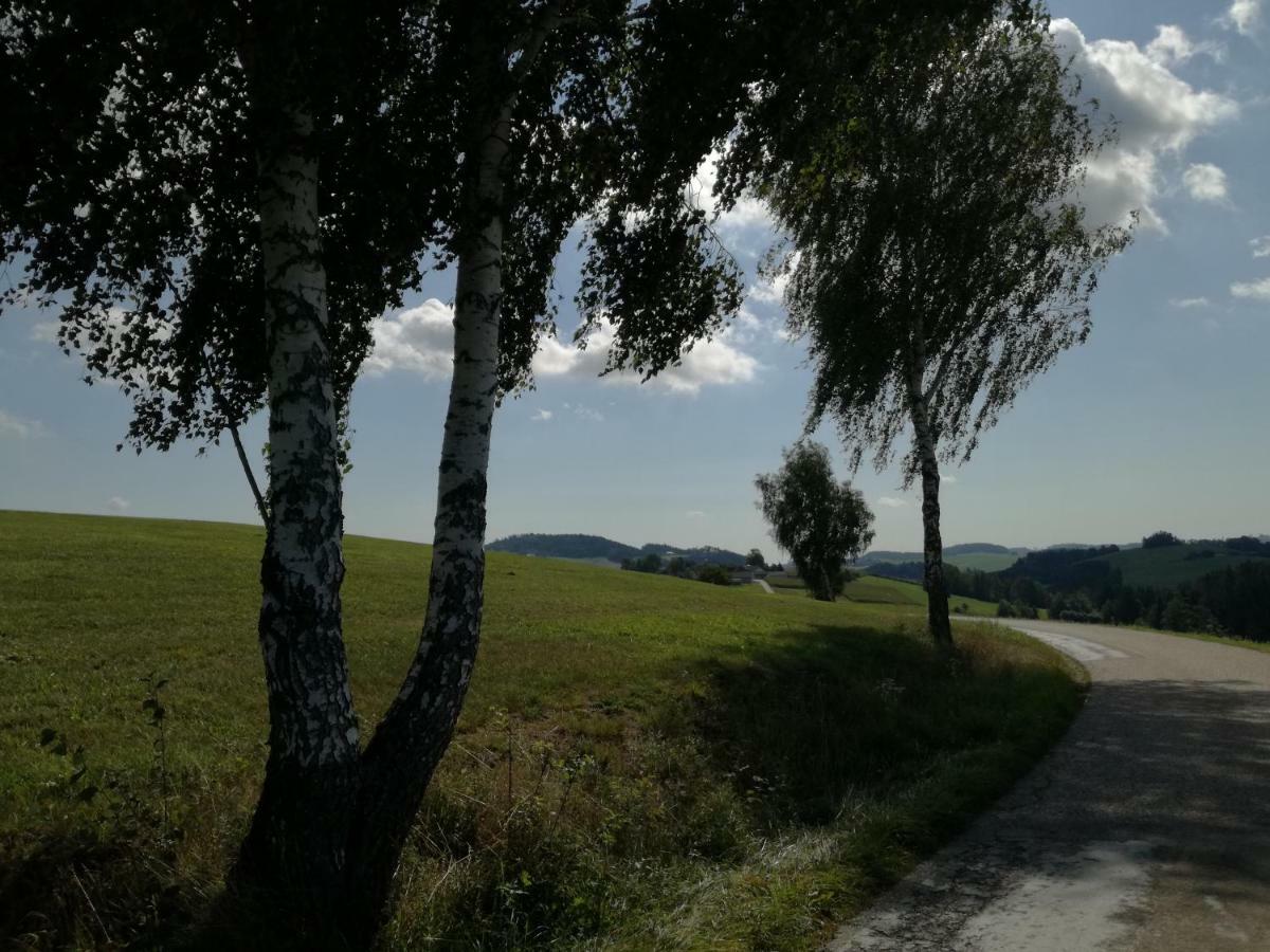 Lembach im MühlkreisJenny别墅 外观 照片