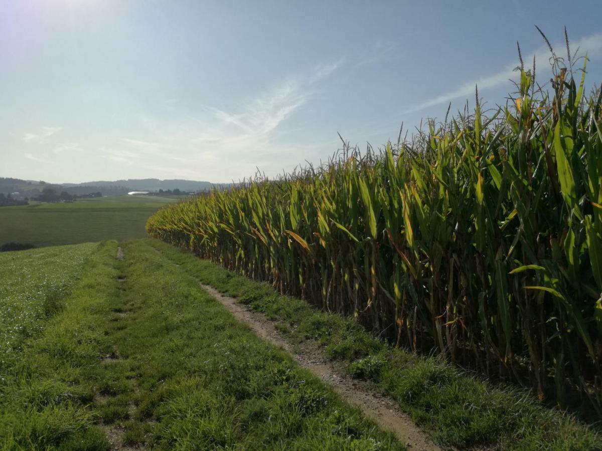 Lembach im MühlkreisJenny别墅 外观 照片